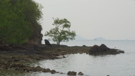 Felsiges-Ufer-Des-Strandes-In-Labuan-Bajo,-Indonesien---Weitwinkelaufnahme