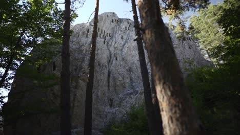 Vista-A-Través-De-Los-árboles-En-Un-Bosque-Que-Rodea-La-Roca-Del-águila-O-Más-Comúnmente-Conocida-Como-Orlovi-Skali,-Que-Está-Situada-En-La-Montaña-Ródope-En-Bulgaria