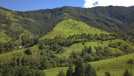 Beautiful-drone-shot-of-palmtrees-in-the-mountains-of-Valle-de-Cocora-in-Colombia