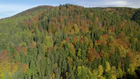 Toma-Aérea-En-Camión-Del-Paisaje-Rural-Con-Bosque-De-Montaña-Otoñal