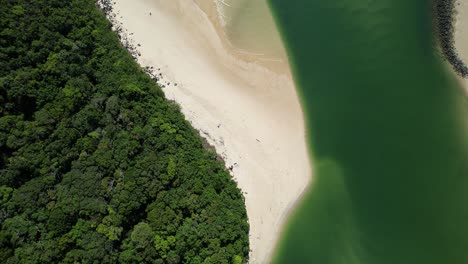 Vista-De-Arriba-Hacia-Abajo-Del-Arroyo-Tallebudgera-Con-Aguas-Tranquilas-Y-Exuberante-Vegetación-En-Queensland,-Australia---Disparo-De-Drones