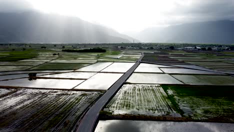 Amanecer-Sobre-Tranquilos-Campos-De-Arroz-Anegados-Con-Fondo-Montañoso,-Reflejando-Nubes