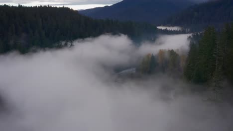 La-Orilla-Del-Río-Cubierta-Por-La-Niebla-Matutina-Se-Descubre-Lentamente-En-Un-Vuelo-Tranquilo-Sobre-El-Bosque-Del-Estado-De-Washington-En-Otoño