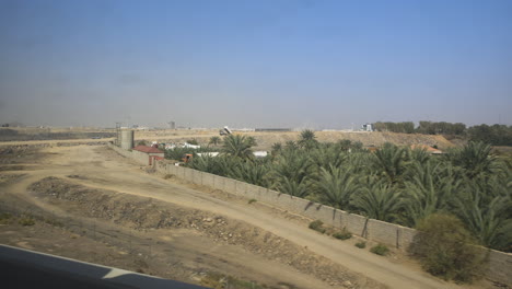 Palm-tree-date-production-in-walled-compound-Madinah