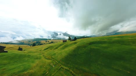 Dron-Fpv-Volando-A-Través-De-Un-Hermoso-Campo-Verde