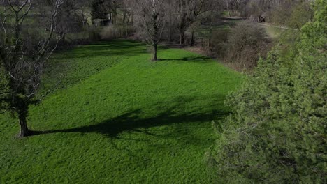 Drohnenclip,-Der-Sich-An-Einem-Sonnigen-Frühlingstag-Durch-Alte-Bäume-Mit-üppigem-Grünem-Gras-Bewegt