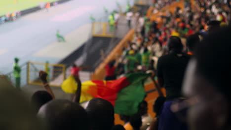 Fanáticos-Agitando-La-Bandera-De-Camerún-En-Las-Gradas.