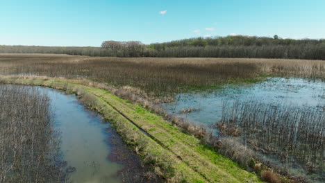 Bell-slough-wetlands-with-water,-trees,-and-a-clear-sky,-arkansas,-daylight,-aerial-view