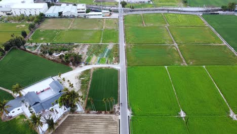 A-rural-landscape-with-a-road-dividing-green-fields-and-a-farmhouse,-aerial-view
