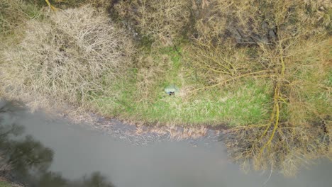 Drohne-Landet-Auf-Einem-Zelt-In-Der-Nähe-Des-Sumpfes