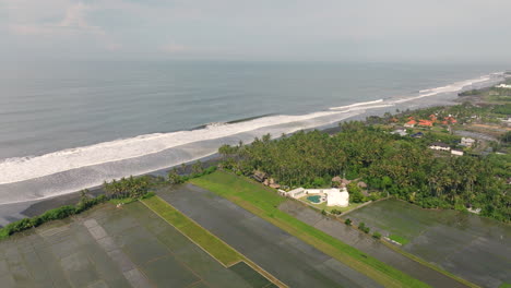 Rice-field-along-coast,-Bali-in-Indonesia