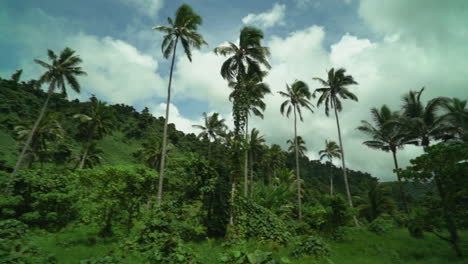 Costal-Tavarua-Falls-Wasserfall-Strand-Spaziergang-Tropisch-Dschungel-Berg-Taveuni-Grün-Garten-Insel-Palme-Kokosnussbäume-Sonnig-Bewölkt-Panorama-Natur-Landschaft-Szenerie-Langsame-Schwenkung-Rechts