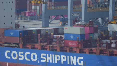 Unloading-COSCO-Shipping-Cargo-Ship-At-RWG-Container-Terminal-In-Maasvlakte-Rotterdam,-Netherlands