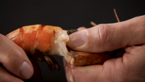 Close-up-of-hands-peeling-a-shrimp,-with-focus-on-the-texture-and-seafood-preparation