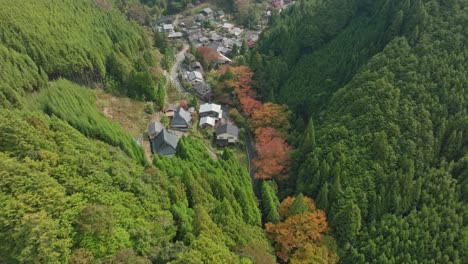 Aerial-drone-above-village-in-Japanese-mountain-valley-road-between-cedar-forest