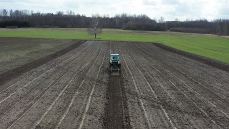 Aerial-view-from-back-farmer-drive-with-old-tractor-and-cultivate-garlic-furrow