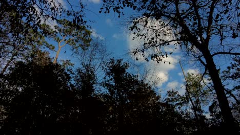 Waldwolken-Im-Zeitraffer,-Gefilmt-In-Florida