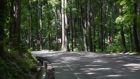 Motorcycles-driving-on-road-that-turns-in-the-man-made-forest-in-the-Philippines