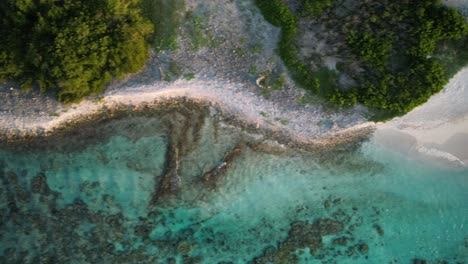 Ein-Kleiner-Strand-Mit-Einem-üppigen-Korallenriff-Bei-Sonnenuntergang,-Klares-Wasser-Umgibt-Die-Küste,-Luftaufnahme