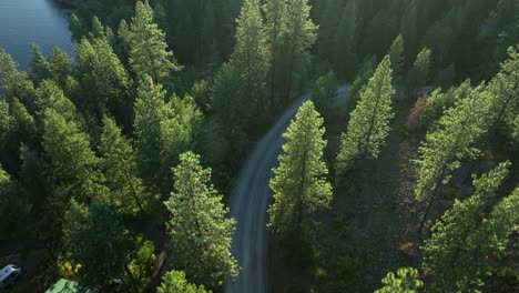 Toma-Aérea-De-Un-Dron-De-Una-Carretera-Rural-Que-Serpentea-A-Través-Del-Bosque