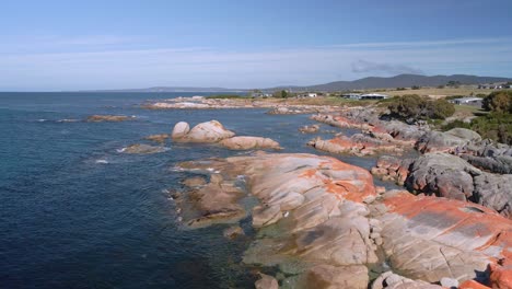 Reverse-drone-view-of-Bay-of-Fires-coast-with-orange-boulders-and-holiday-homes,-Tasmania,-Australia