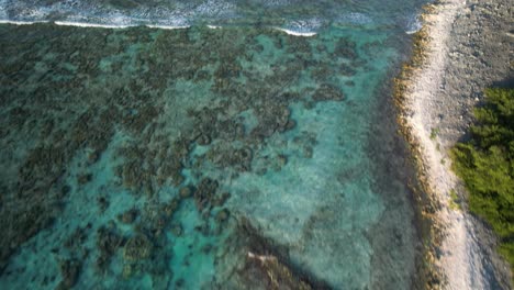 A-caribbean-barrier-reef-with-clear-waters-and-sandy-path,-sunlight-reflecting,-aerial-view