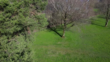 Drone-clip-moving-through-landscaped-gardens-showing-statement-trees-and-lawn
