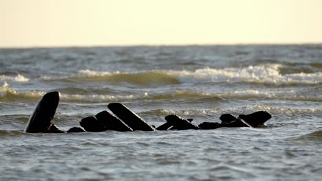 Restos-De-Un-Naufragio-De-Madera-En-La-Playa-Del-Océano-Con-Olas-ásperas,-Parte-De-Madera-De-La-Proa-De-Un-Barco-Vikingo