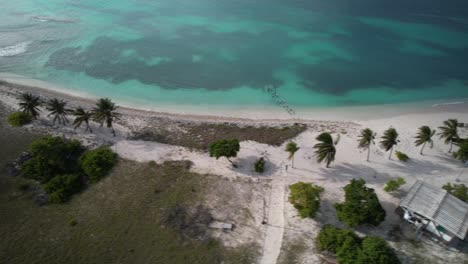 Aerial-shot-tropical-island-with-palms-tree-and-typical-houses,-Dos-Mosquises-Los-Roques