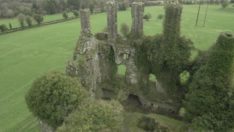 Carbury-Castle-Covered-By-Green-Plants-In-County-Kildare,-Ireland