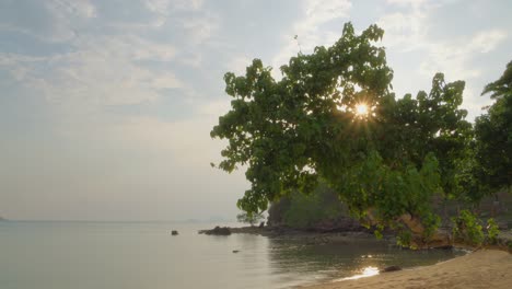 El-Sol-Brilla-A-Través-Del-Follaje-En-La-Playa-De-Labuan-Bajo,-Nusa-Tenggara-Oriental,-Indonesia