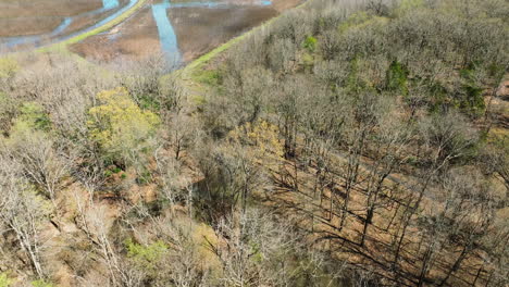 Bell-slough-wildlife-area,-winding-river-among-bare-trees,-arkansas,-aerial-view