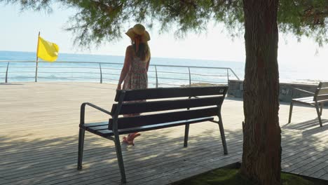 Woman-wearing-dress-and-straw-hat-walking-near-ocean-coastline,-back-view