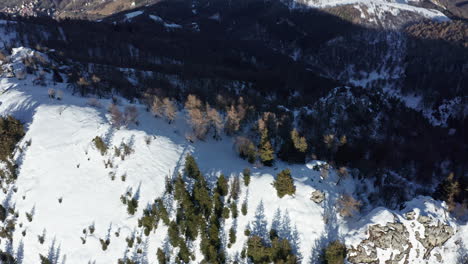 Toma-Aérea-De-Una-Montaña-Cubierta-De-Nieve-Con-Pinos-Verdes-Y-Un-Valle