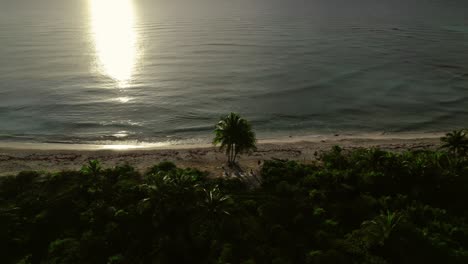 Imágenes-Aéreas-Cinematográficas-De-Una-Playa-Aislada,-Riviera-Maya,-México.