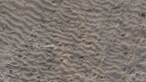 Morgen-Am-Strand,-Sand,-Drohnenaufnahme