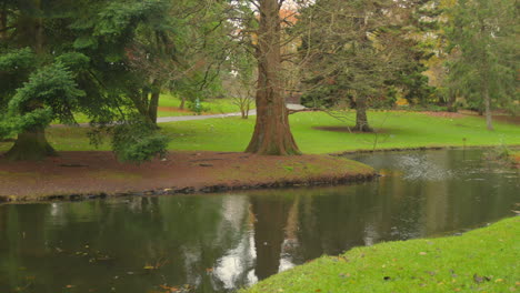 El-Agua-Fluye-Entre-Los-árboles-Del-Parque-Del-Jardín-Botánico-De-Dublín