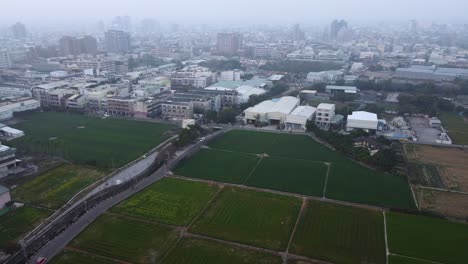 Green-rice-fields-next-to-an-urban-area-under-hazy-sky,-hint-of-urban-farming,-aerial-view