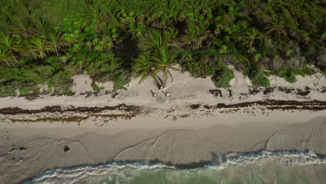 Revelando-La-Perspectiva-Aérea-De-La-Playa-De-Xpuha-En-La-Riviera-Maya,-México,-Mostrando-Las-Olas-Chapoteando-Suavemente-A-Lo-Largo-De-La-Costa.