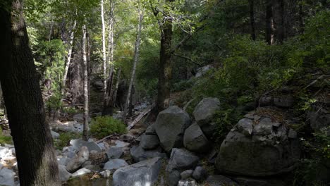 Movimiento-Relajante-A-Través-De-Un-Bosque-Tranquilo-Con-árboles-Y-Rocas-De-Río:-Vuelo-Entre-árboles-Sobre-Un-Arroyo.