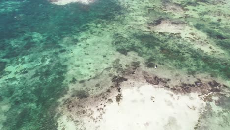 Die-Nach-Oben-Geneigte-Drohnenansicht-Zeigt-Das-Unberührte-Korallenriff-In-Der-Grünen-Wolke-Von-Los-Roques,-Venezuela
