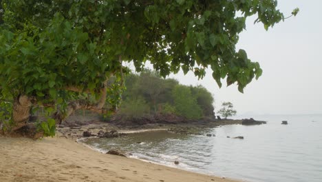 Üppige-Grüne-Bäume-Am-Strand-In-Labuan-Bajo,-Ost-Nusa-Tenggara,-Indonesien