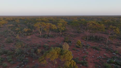 Panning-clip-showing-desert-and-scrubland-stretching-out-to-horizon,-in-Western-Australia