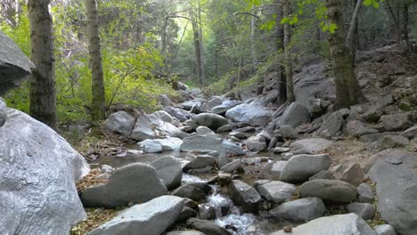 Río-Tranquilo-Que-Fluye-Por-Rocas-Rodeadas-De-Bosque:-Naturaleza-Relajante-Con-Hermosos-Paisajes