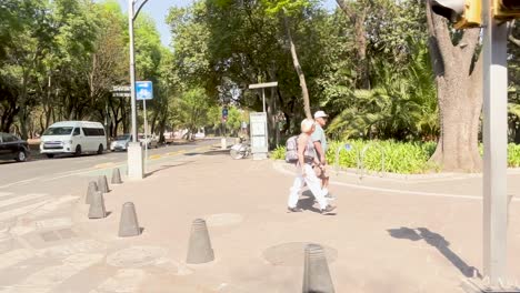 Toma-En-Cámara-Lenta-Del-Parque-Chapultepec-En-La-Ciudad-De-México