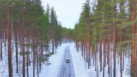 Erhöhte-Aufnahmen-Eines-Autos,-Das-Auf-Einer-Schneebedeckten-Straße-Durch-Den-Wald-Fährt