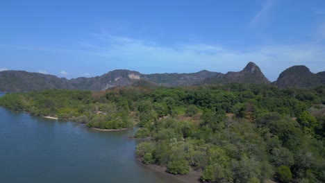 Mangroven-Fluss-Ansicht-üppiges-Grün-Bewölkter-Himmel