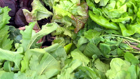 Fresh-organic-salad-leaves-and-herbs-for-sale-at-a-local-farmers-market-in-Marbella-Spain,-healthy-bio-vegetables,-4K-shot