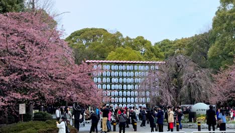 Crowds-enjoy-cherry-blossoms-at-a-park-with-modern-architecture-in-the-background,-daylight