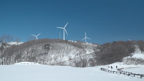 Daegwallyeong-Sky-Ranch-in-Winter---Tourists-and-Walk-Path-Though-Snowy-Farmland-and-Wind-TUrbines-on-Mountain-Hills-Against-Blue-Sky